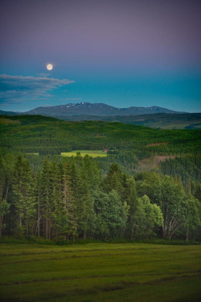 Utsikten fra Beitlandet med slått eng, skog og fjell